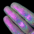 Holo Jade (Multichrome Pigment)