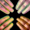 "Woodland Fairy" Bundle (Multichrome Pigments)
